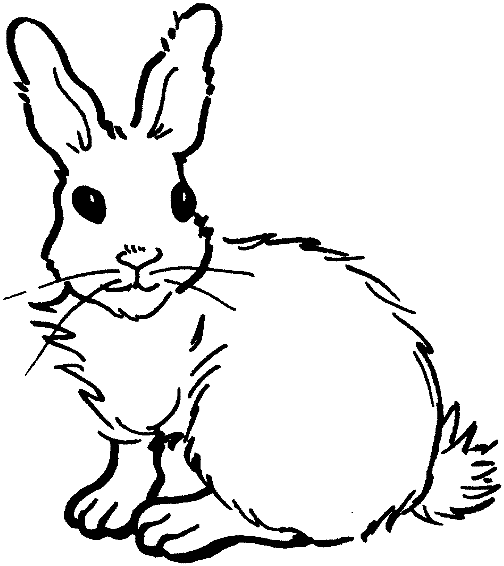 Dibujo para colorear: Conejo (Animales) #9625 - Dibujos para Colorear e Imprimir Gratis