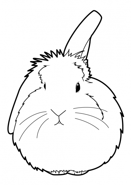 Dibujo para colorear: Conejo (Animales) #9641 - Dibujos para Colorear e Imprimir Gratis