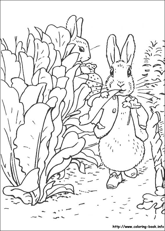 Dibujo para colorear: Conejo (Animales) #9664 - Dibujos para Colorear e Imprimir Gratis