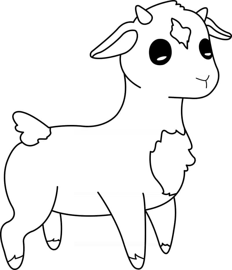 Dibujo gratuito Cordero #184259 de la coleccion Animales para imprimir