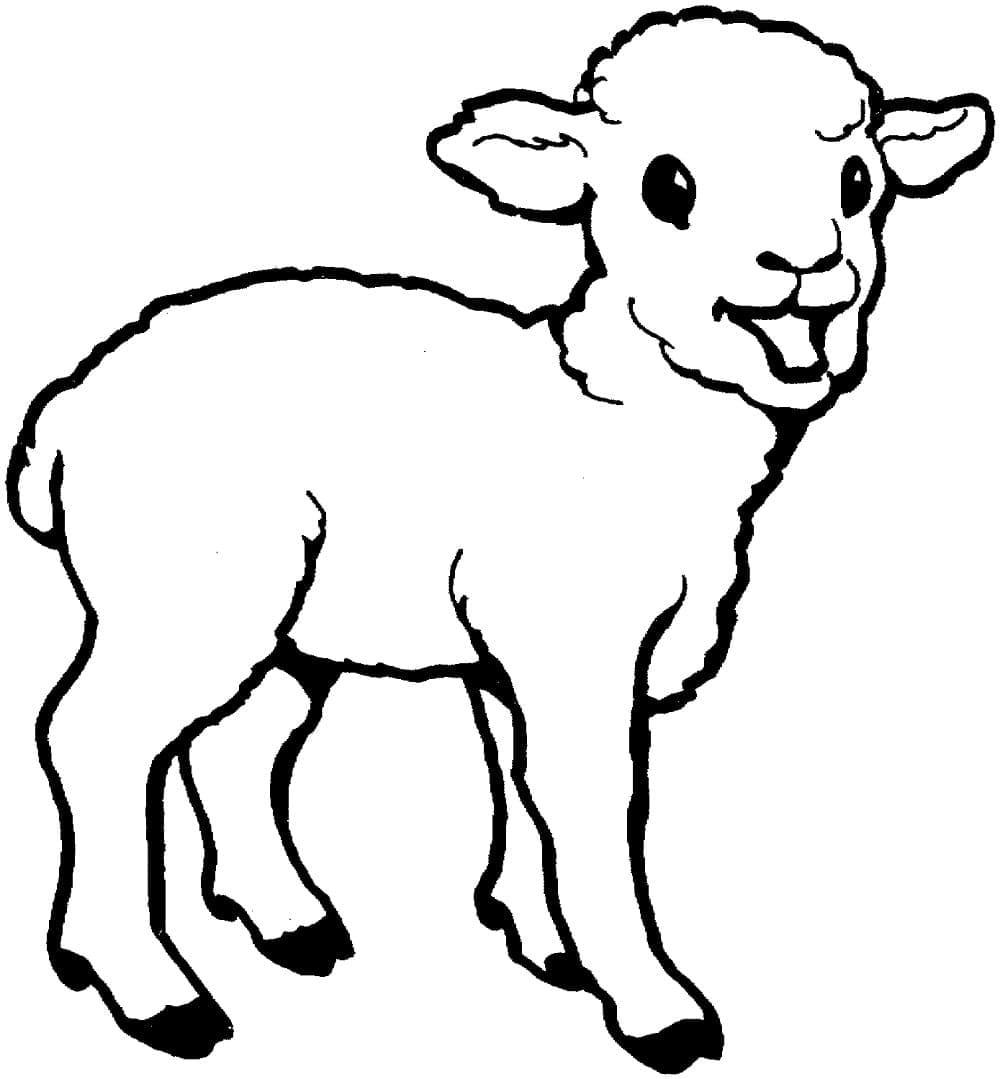 Dibujo gratuito Cordero #184260 de la coleccion Animales para imprimir