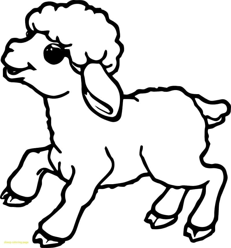Dibujo gratuito Cordero #184267 de la coleccion Animales para imprimir
