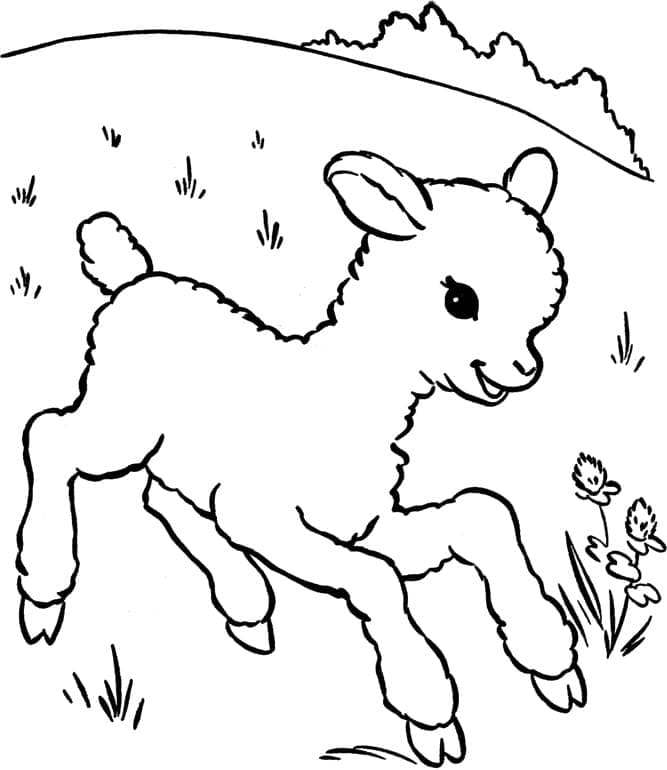 Dibujo gratuito Cordero #184281 de la coleccion Animales para imprimir