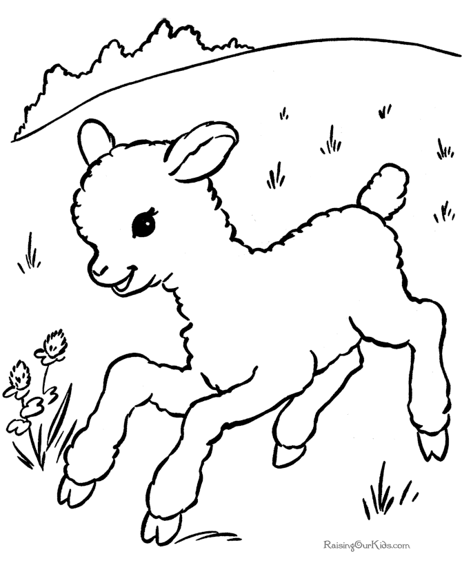 Dibujo para colorear: Cordero (Animales) #190 - Dibujos para Colorear e Imprimir Gratis