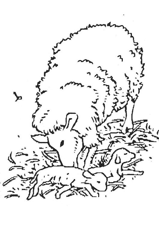 Dibujo para colorear: Cordero (Animales) #192 - Dibujos para Colorear e Imprimir Gratis