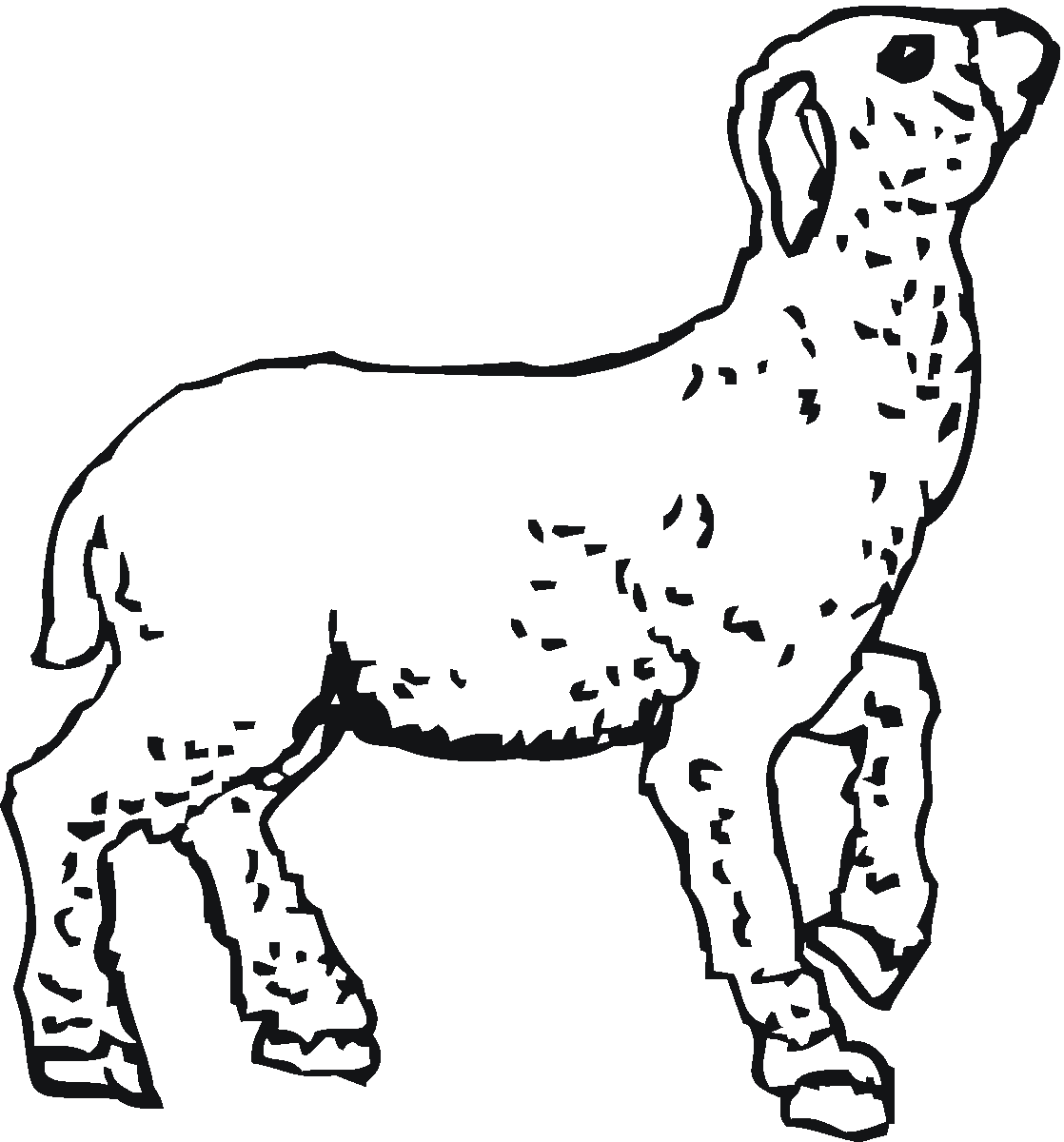 Dibujo para colorear: Cordero (Animales) #250 - Dibujos para Colorear e Imprimir Gratis