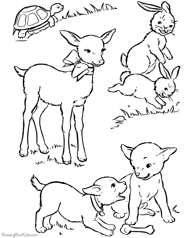 Dibujo para colorear: Cordero (Animales) #262 - Dibujos para Colorear e Imprimir Gratis