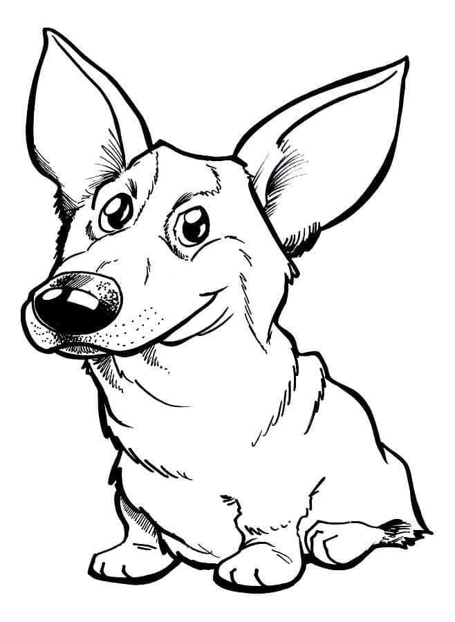 Dibujo gratuito Corgi #220757 de la coleccion Animales para imprimir