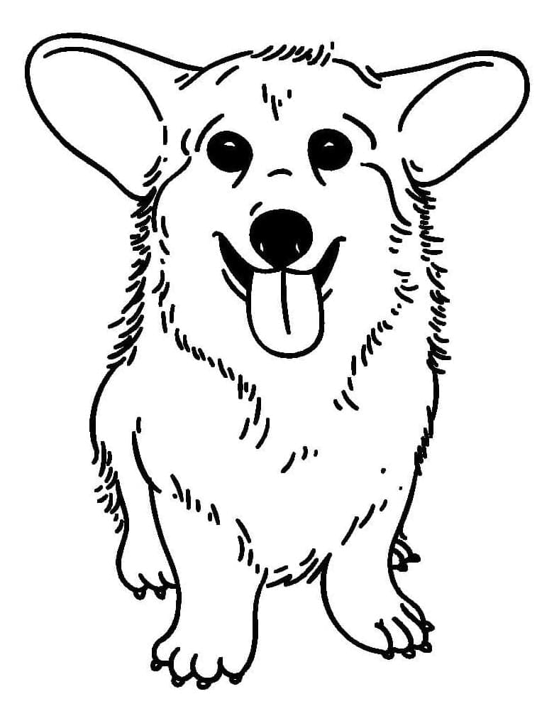 Dibujo gratuito Corgi #220760 de la coleccion Animales para imprimir
