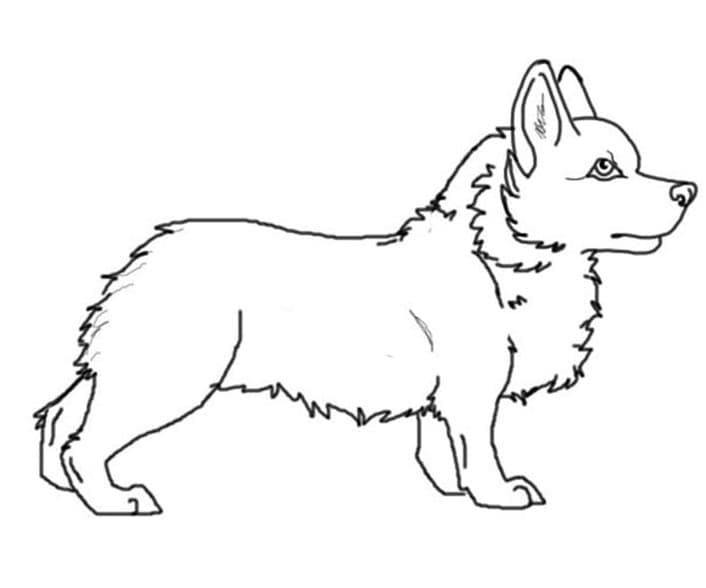 Dibujo gratuito Corgi #220761 de la coleccion Animales para imprimir