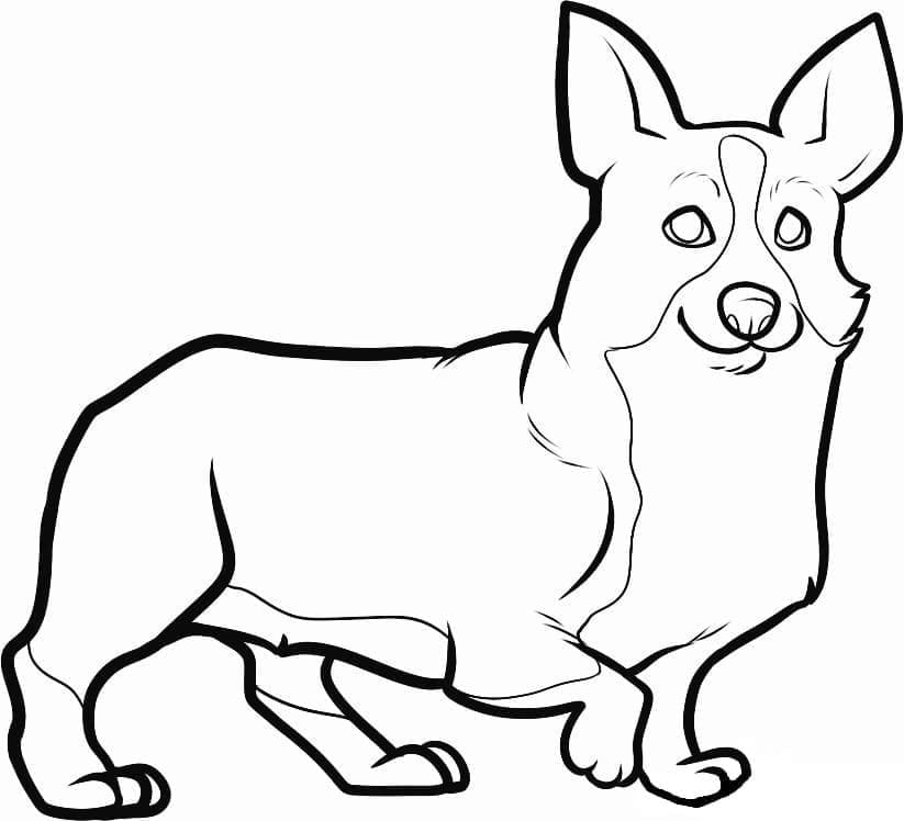 Dibujo gratuito Corgi #220784 de la coleccion Animales para imprimir