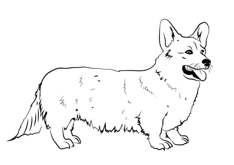 Dibujo gratuito Corgi #220785 de la coleccion Animales para imprimir
