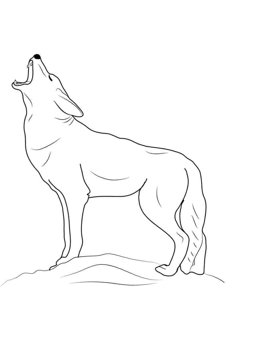 Dibujo gratuito Coyote #207104 de la coleccion Animales para imprimir