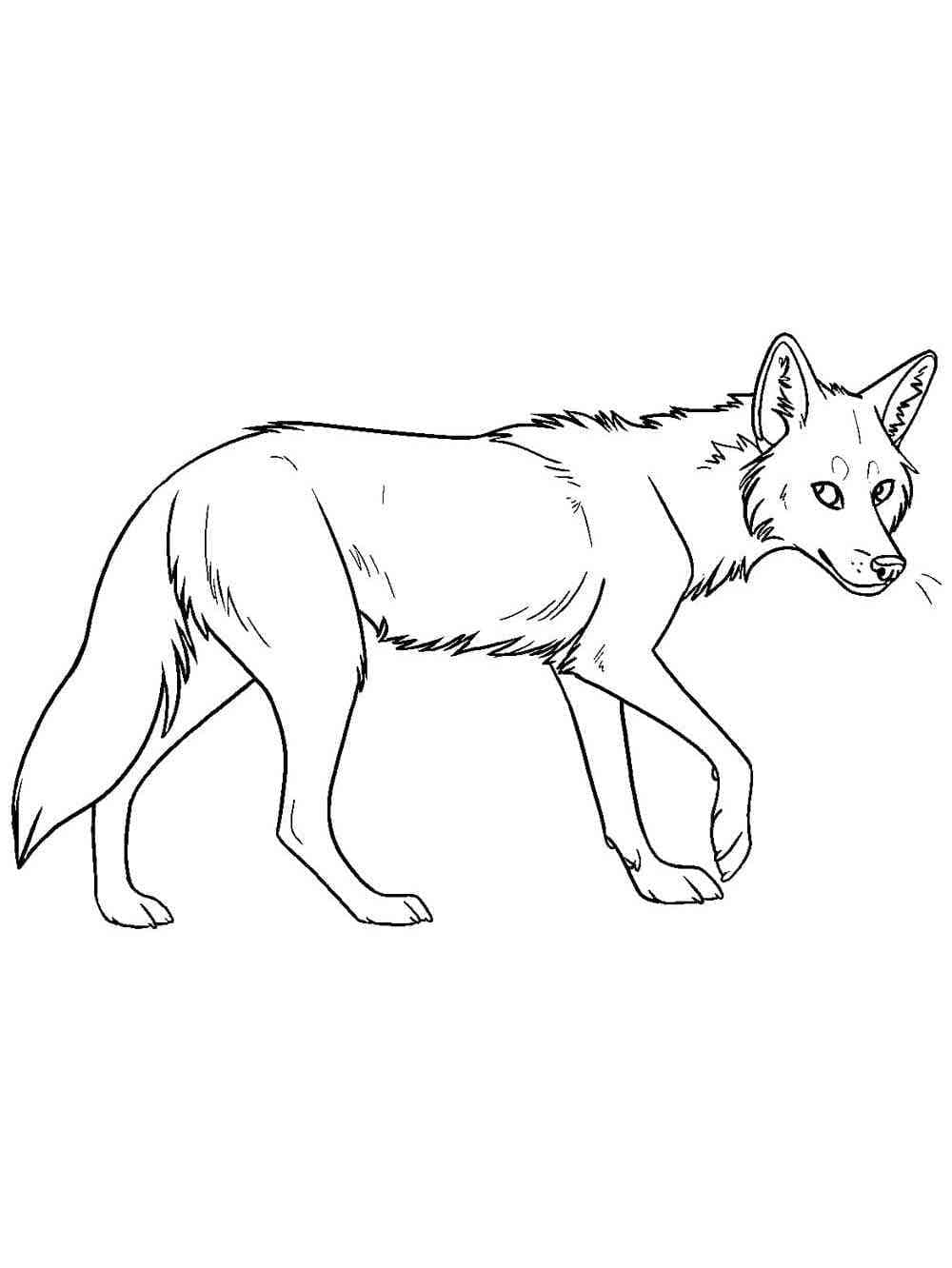 Dibujo gratuito Coyote #207106 de la coleccion Animales para imprimir Dibujo gratuito Coyote #207106 de la coleccion Animales para imprimir