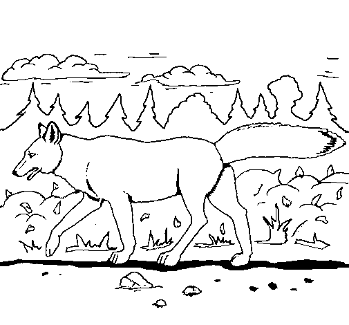 Dibujo para colorear: Coyote (Animales) #4483 - Dibujos para Colorear e Imprimir Gratis