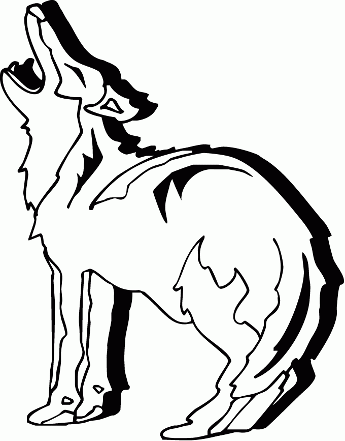 Dibujo para colorear: Coyote (Animales) #4505 - Dibujos para Colorear e Imprimir Gratis
