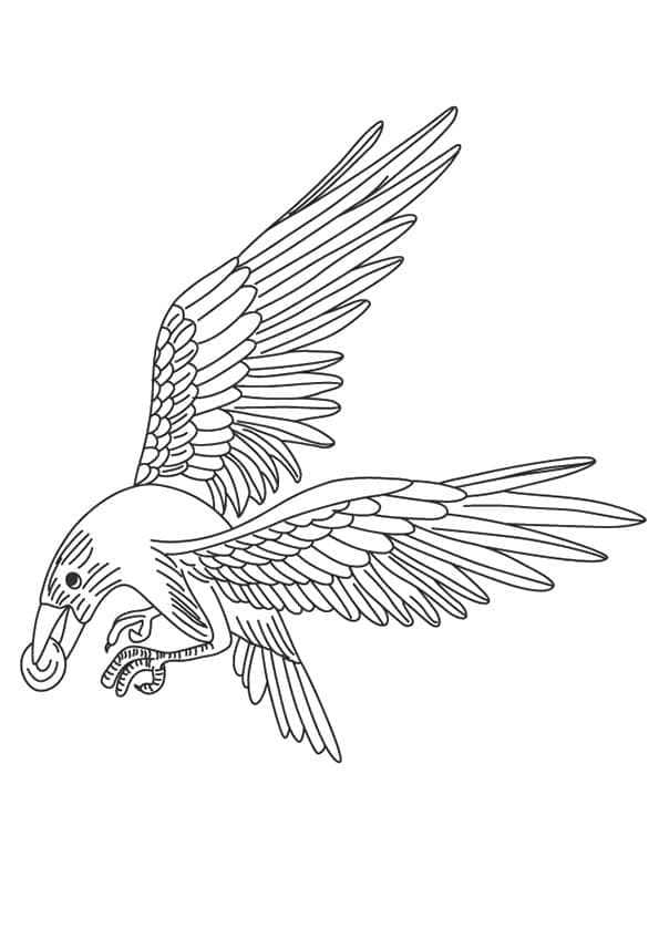 Dibujo gratuito Cuervo #209010 de la coleccion Animales para imprimir