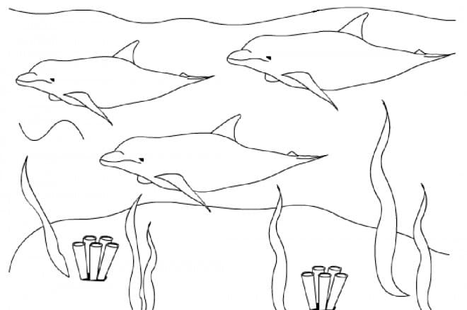 Dibujo gratuito Delfín #182729 de la coleccion Animales para imprimir