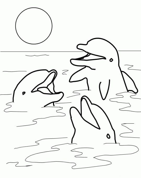 Dibujo gratuito Delfín #182730 de la coleccion Animales para imprimir