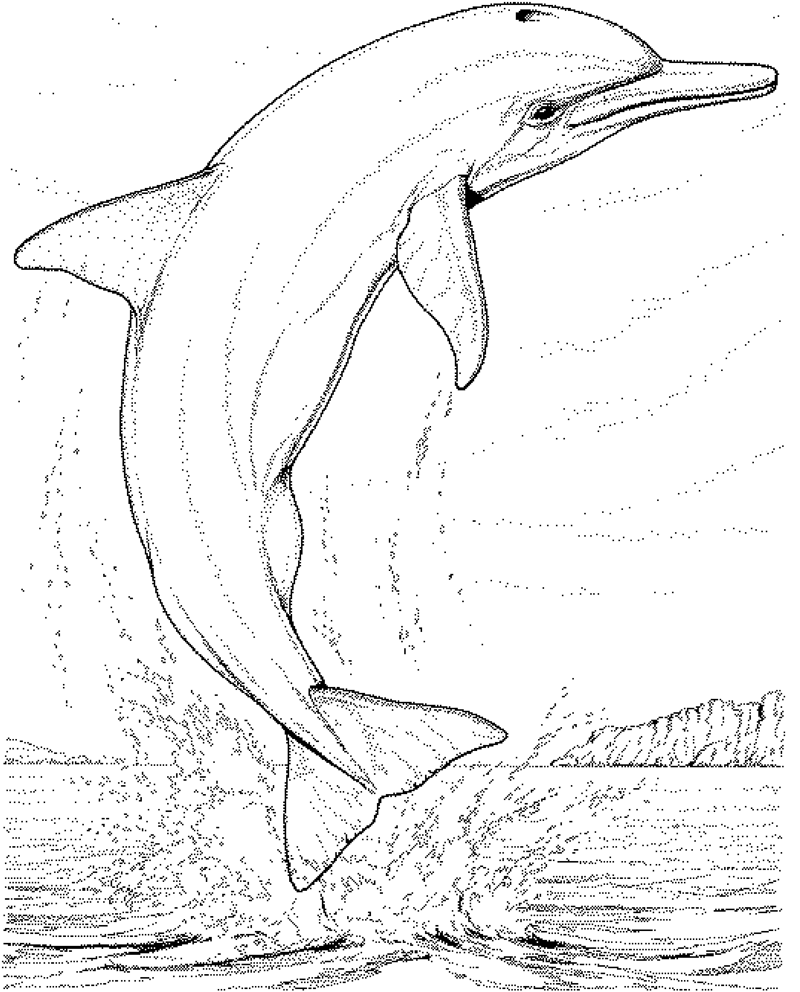 Dibujo para colorear: Delfín (Animales) #5100 - Dibujos para Colorear e Imprimir Gratis