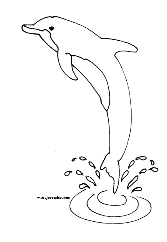 Dibujo para colorear: Delfín (Animales) #5101 - Dibujos para Colorear e Imprimir Gratis
