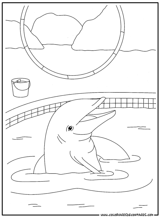 Dibujo para colorear: Delfín (Animales) #5122 - Dibujos para Colorear e Imprimir Gratis