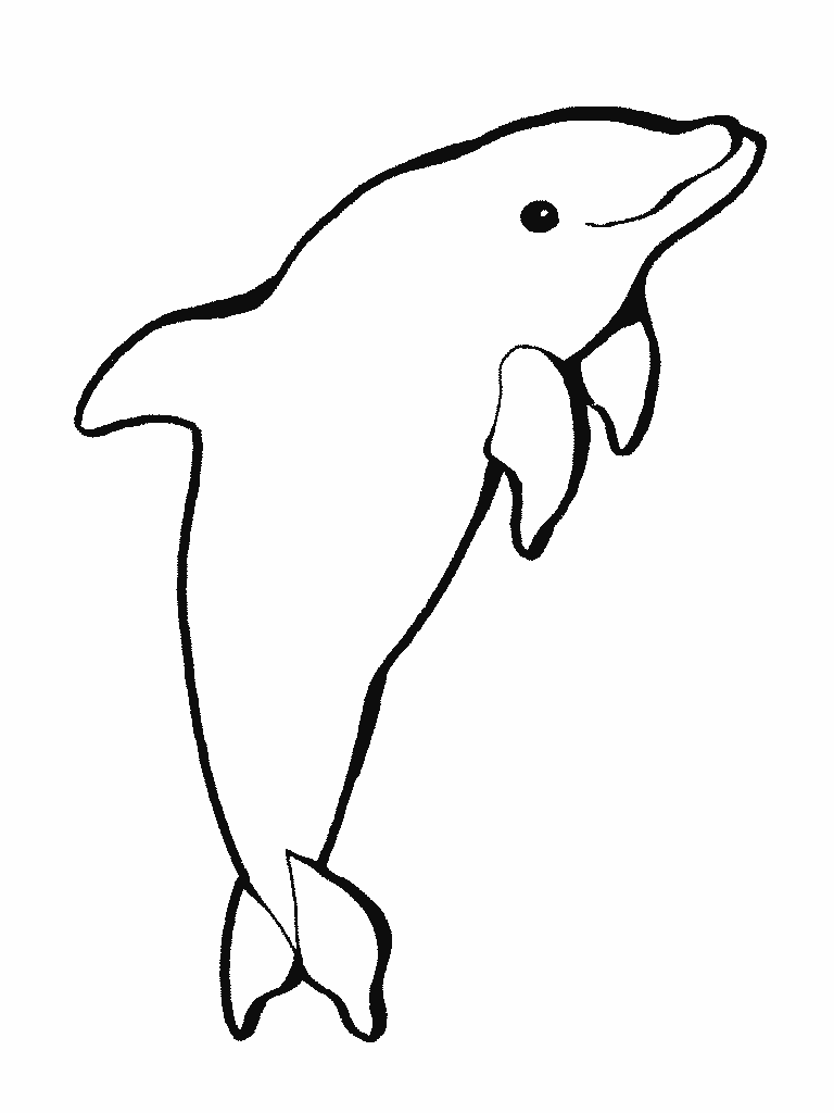 Delfín (Animales) 