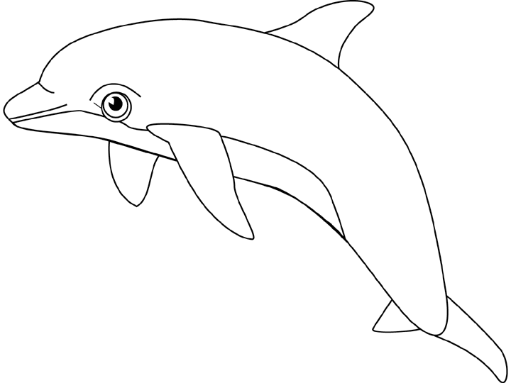 Dibujo para colorear: Delfín (Animales) #5206 - Dibujos para Colorear e Imprimir Gratis