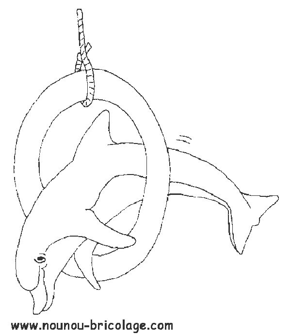 Dibujo para colorear: Delfín (Animales) #5233 - Dibujos para Colorear e Imprimir Gratis