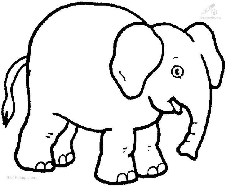 Dibujo para colorear: Elefante (Animales) #6312 - Dibujos para Colorear e Imprimir Gratis