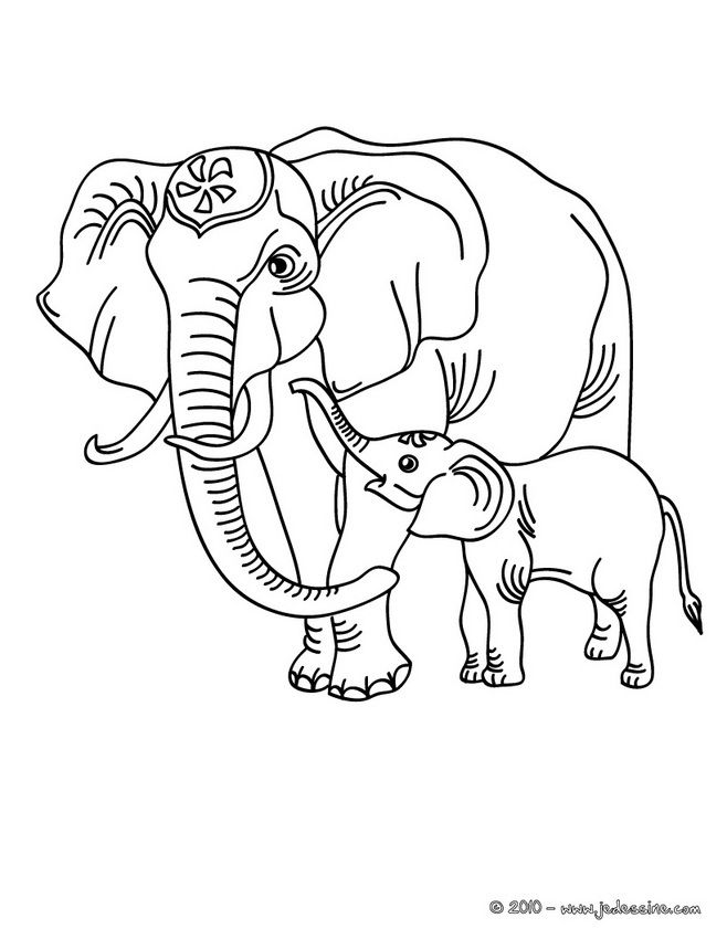 Dibujo para colorear: Elefante (Animales) #6337 - Dibujos para Colorear e Imprimir Gratis