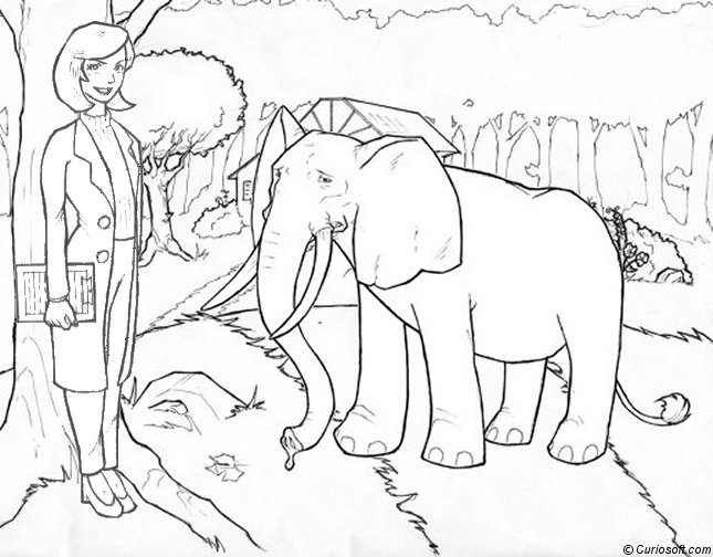 Dibujo para colorear: Elefante (Animales) #6455 - Dibujos para Colorear e Imprimir Gratis