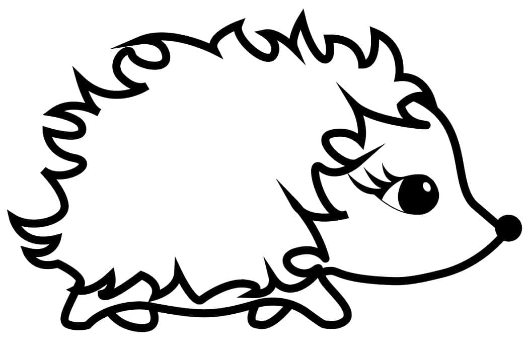 Dibujo gratuito Erizo #190621 de la coleccion Animales para imprimir