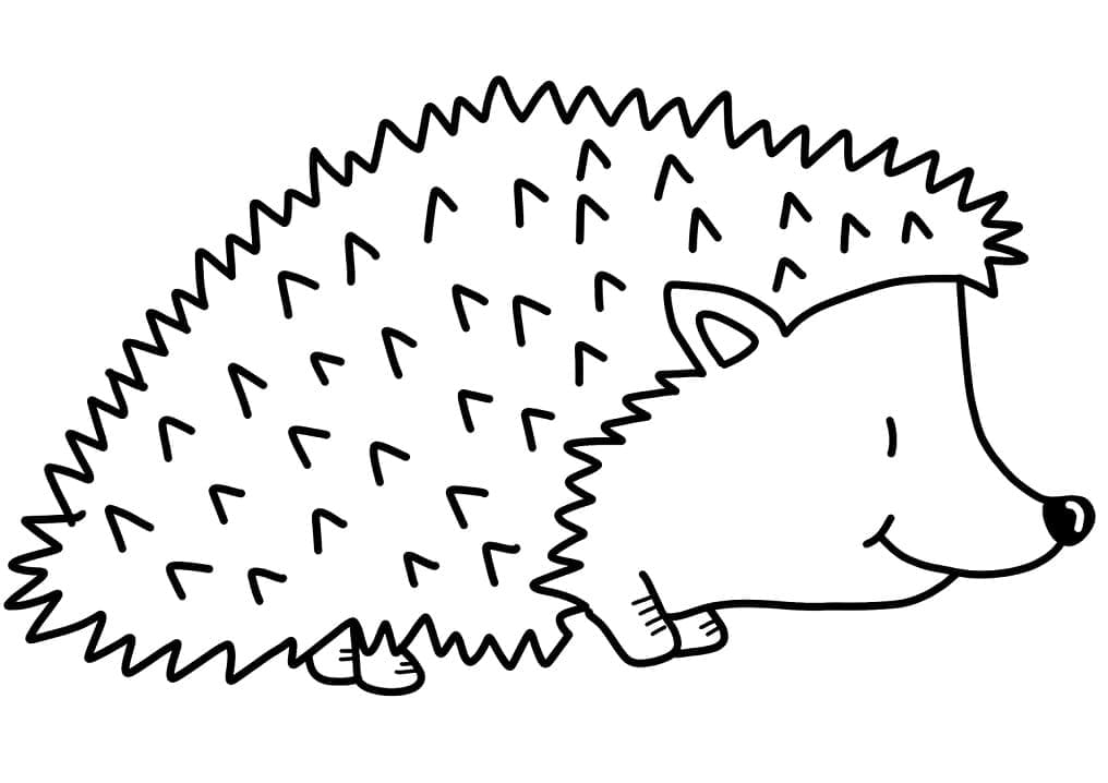 Dibujo gratuito Erizo #190622 de la coleccion Animales para imprimir