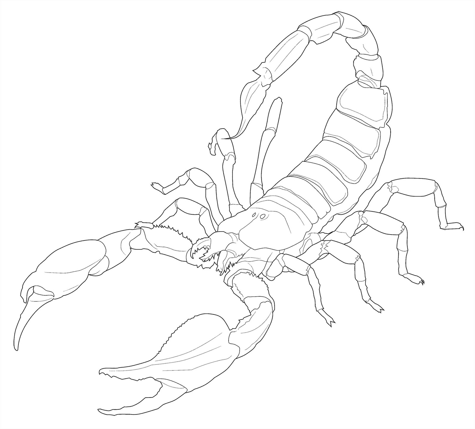 Dibujos de Escorpión #14624 (Animales) para colorear – Páginas imprimibles  gratis