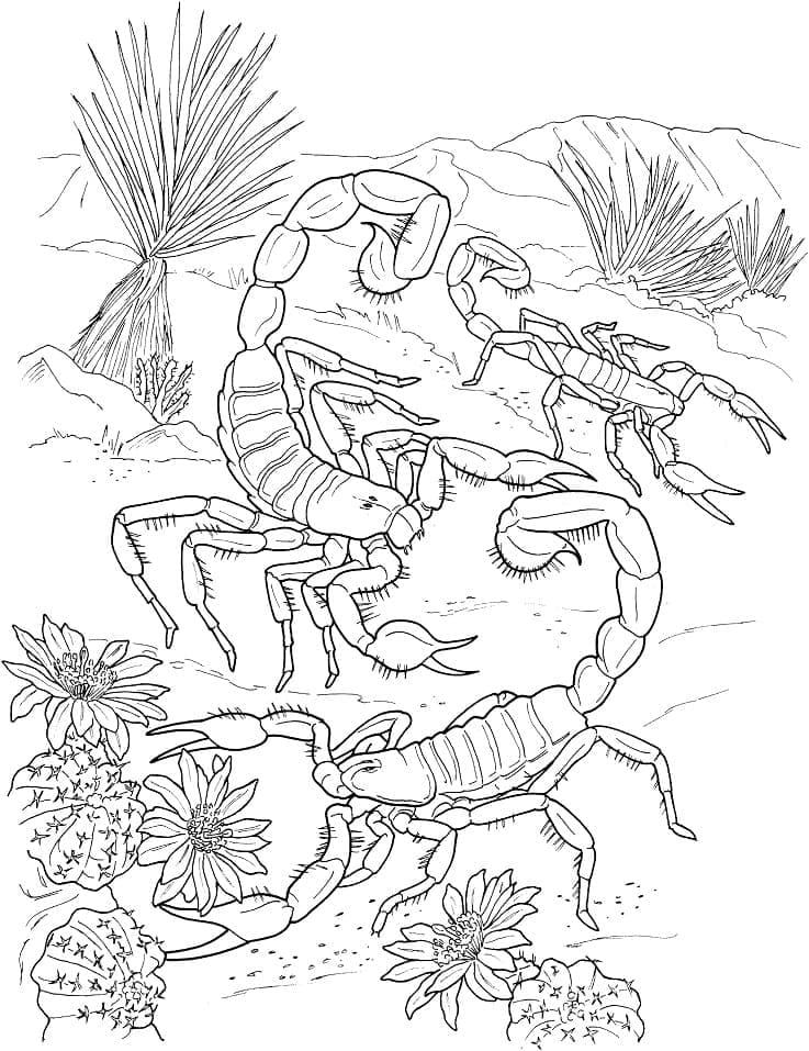 Dibujo gratuito Escorpión #209585 de la coleccion Animales para imprimir