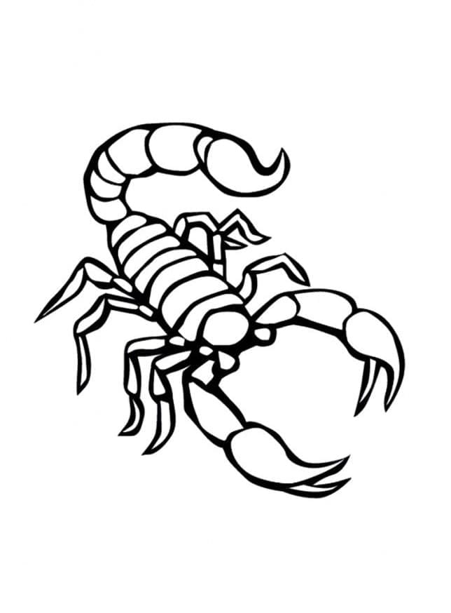 Dibujo gratuito Escorpión #209591 de la coleccion Animales para imprimir