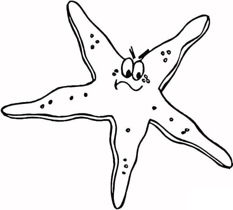 Dibujo gratuito Estrella de Mar #187144 de la coleccion Animales para imprimir