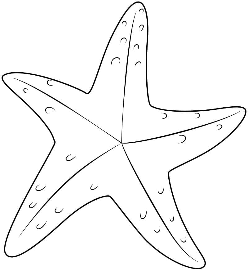 Dibujo gratuito Estrella de Mar #187171 de la coleccion Animales para imprimir Dibujo gratuito Estrella de Mar #187171 de la coleccion Animales para imprimir