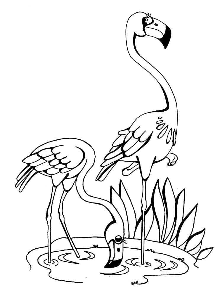Dibujo gratuito Flamenco Rosa #198751 de la coleccion Animales para imprimir