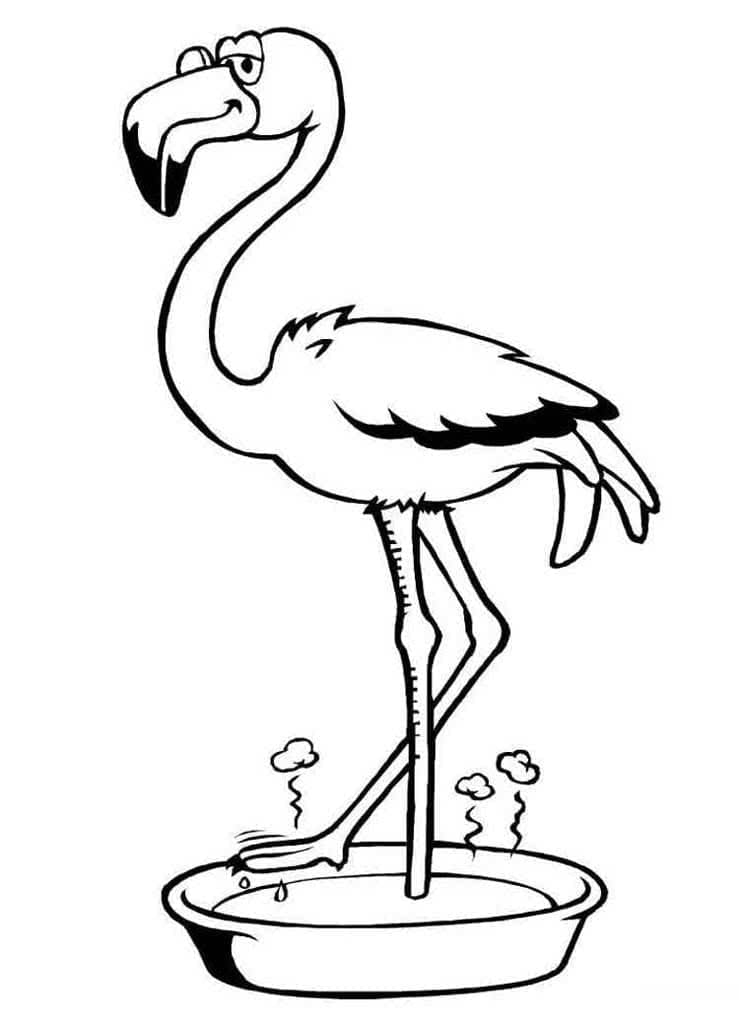 Dibujo gratuito Flamenco Rosa #198753 de la coleccion Animales para imprimir