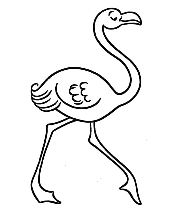 Dibujo gratuito Flamenco Rosa #198767 de la coleccion Animales para imprimir