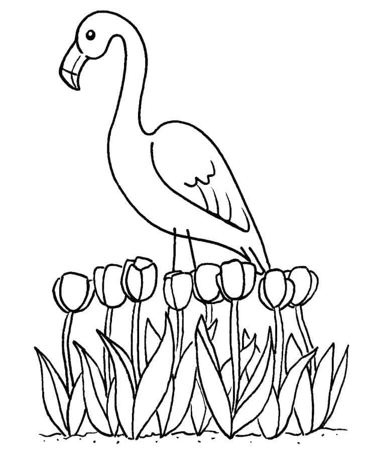 Dibujo gratuito Flamenco Rosa #198771 de la coleccion Animales para imprimir