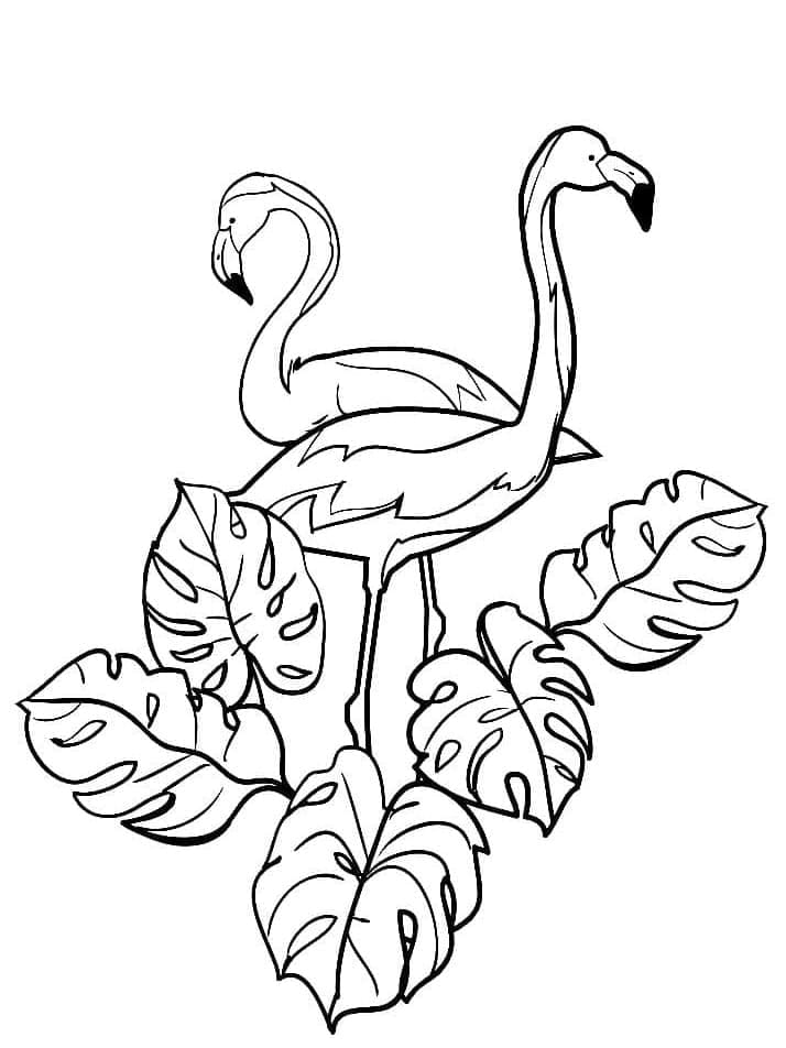 Dibujo gratuito Flamenco Rosa #198787 de la coleccion Animales para imprimir