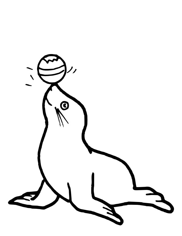 Dibujo gratuito Foca #16262 de la coleccion Animales para imprimir