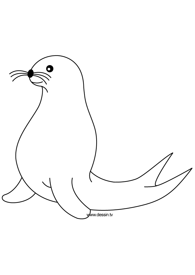 Dibujo gratuito Foca #16267 de la coleccion Animales para imprimir