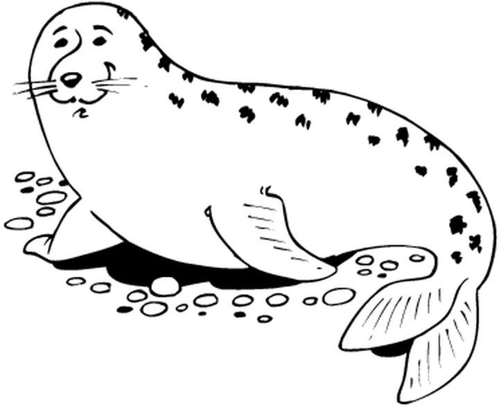 Dibujo gratuito Foca #16279 de la coleccion Animales para imprimir