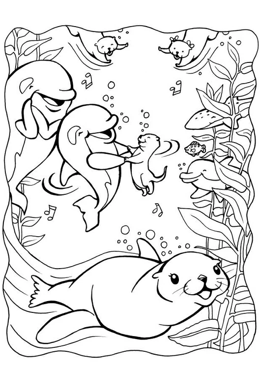 Dibujo gratuito Foca #16318 de la coleccion Animales para imprimir