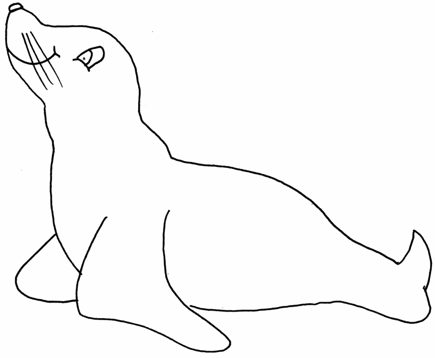 Dibujo gratuito Foca #16336 de la coleccion Animales para imprimir