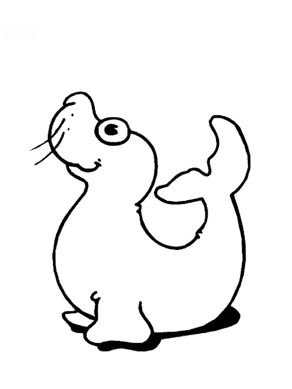 Dibujo gratuito Foca #16345 de la coleccion Animales para imprimir